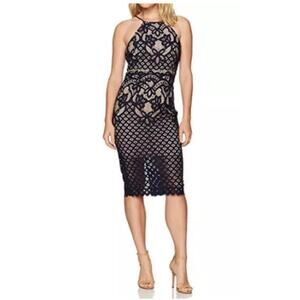 Bardot Navy Lace Midi Dress